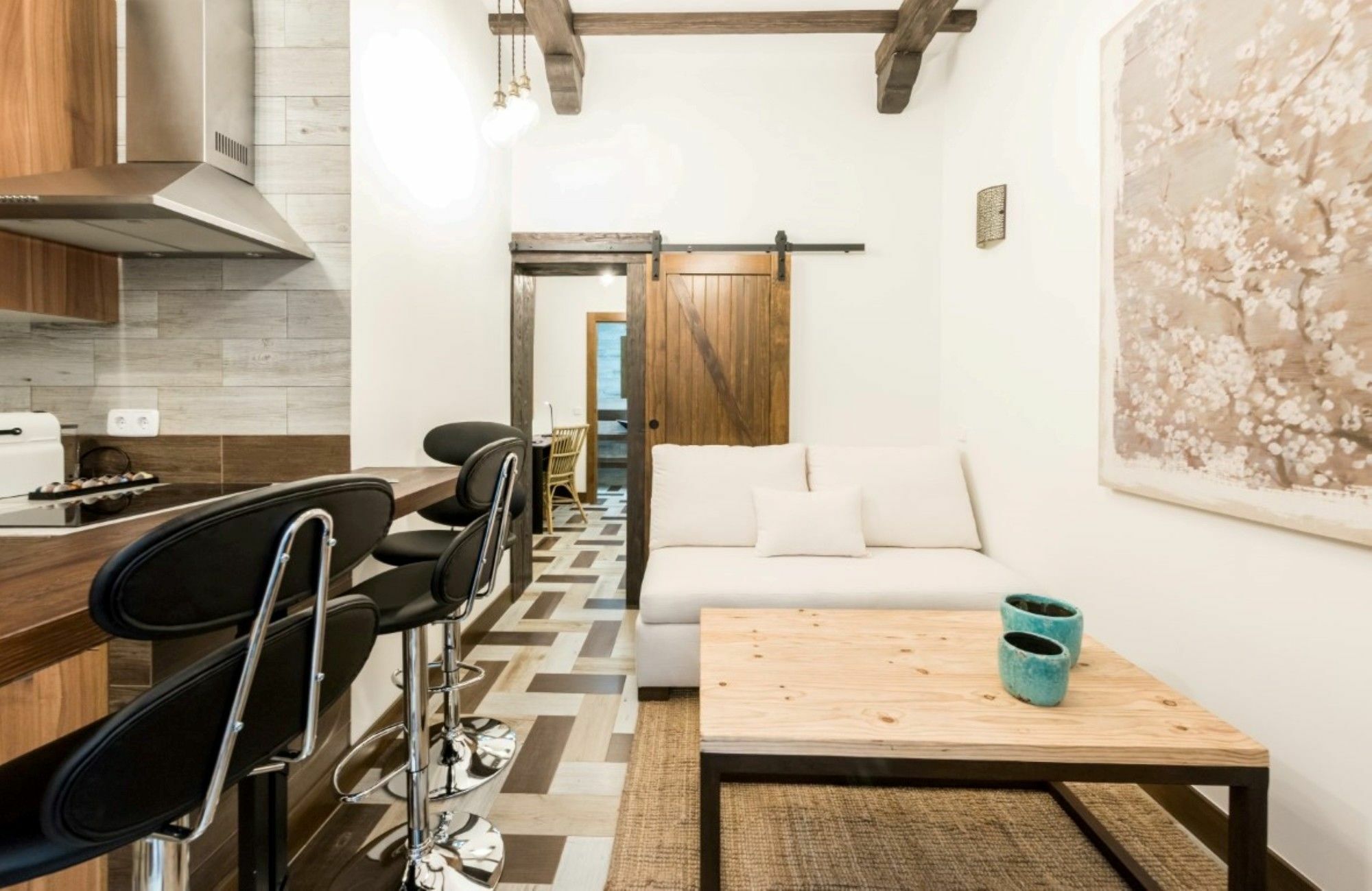Pedro Zerolo Center Appartement